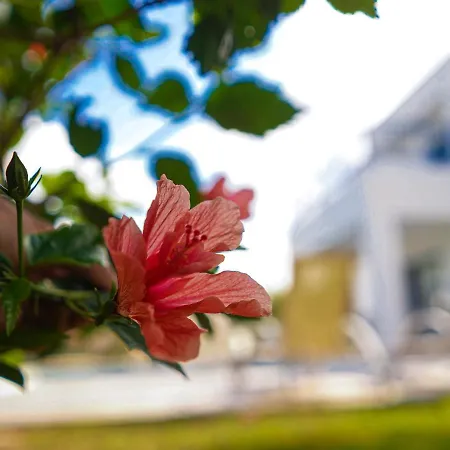 Azzurro Holiday Estia By Sanders Villa
